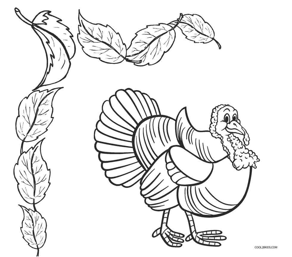 Detailed Bird Coloring Pages At GetDrawings Free Download