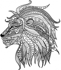 detailed lion coloring page detailed lion coloring page