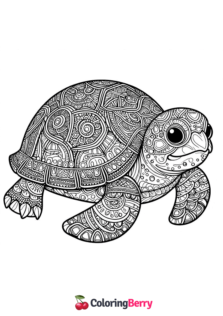 Detailed Turtle Coloring Page Free PDF Printable Detailed Turtle Coloring Page Free PDF Printable