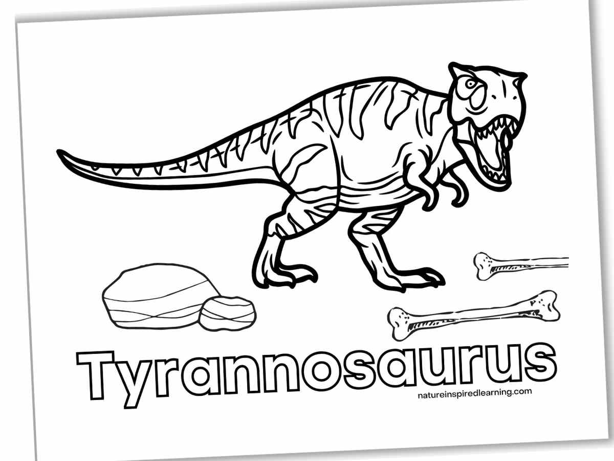 Diffe Types Of Dinosaurs Coloring Pages Infoupdate
