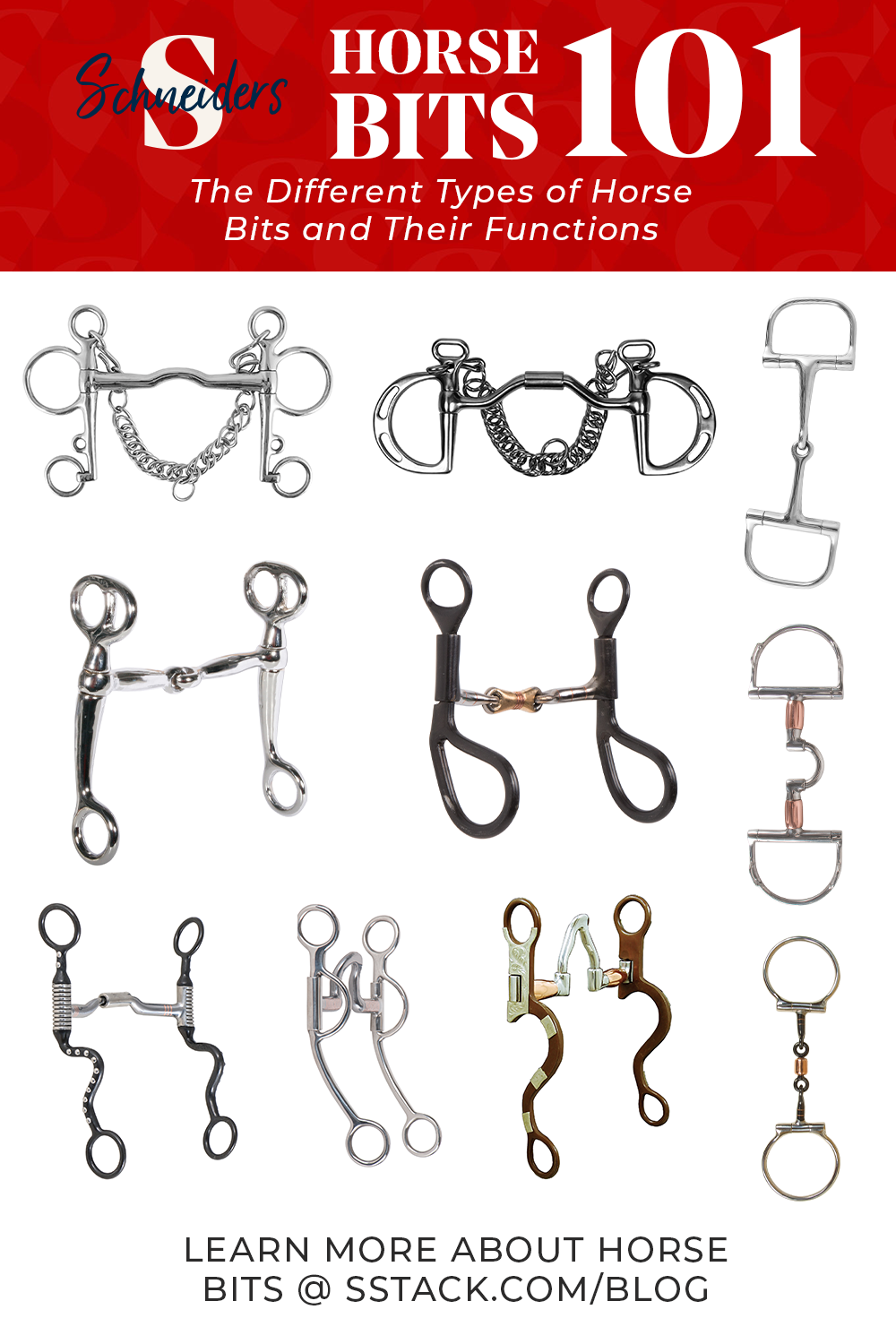 Discover The Variety Of Horse Bits A Guide To Horse Bits