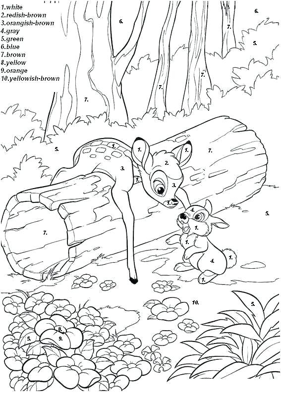 Disney Color By Number Sheets