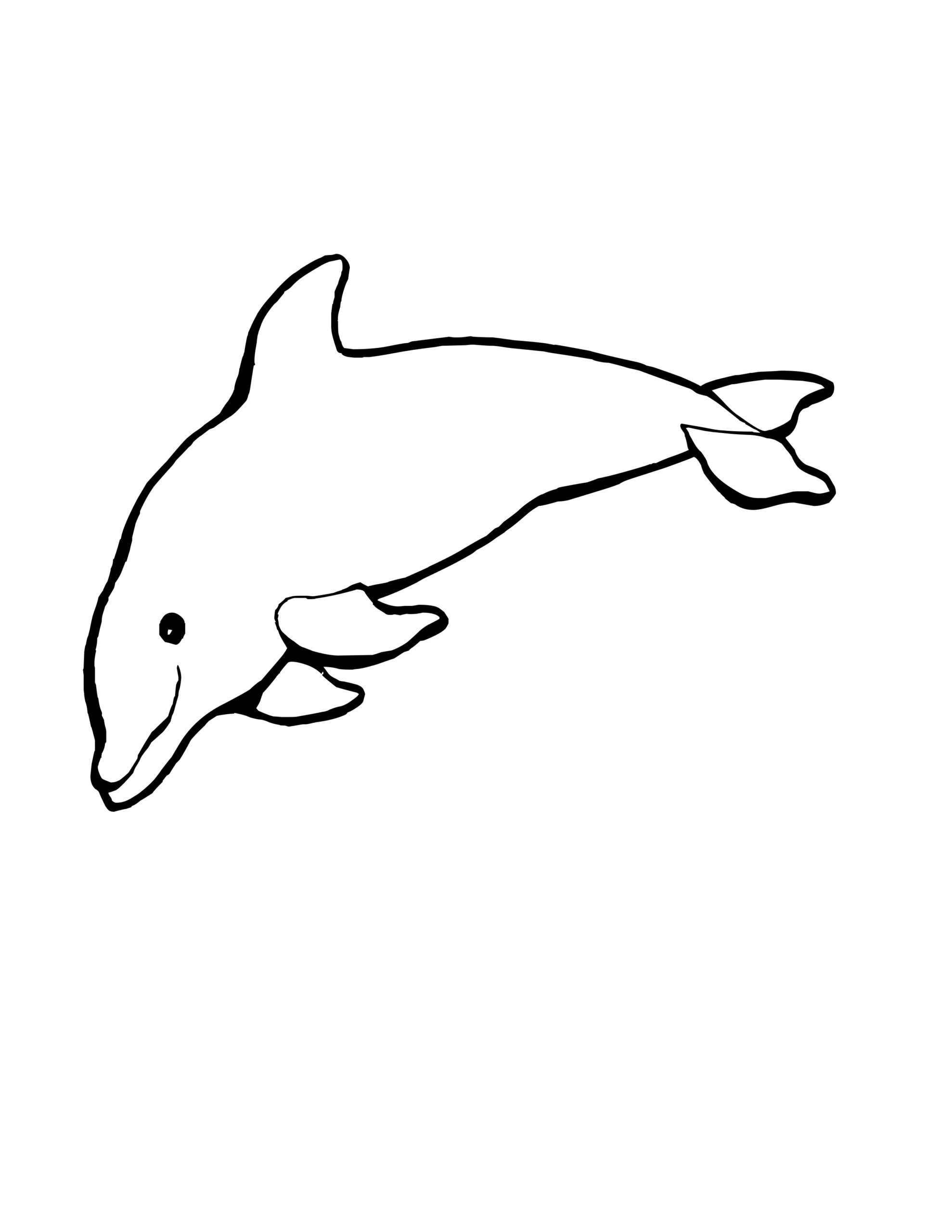 free printable coloring pages dolphin free printable coloring pages dolphin
