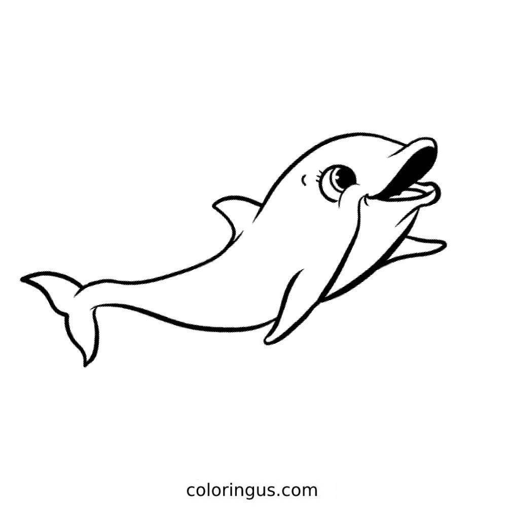Dolphin Coloring Pages Free Printable PDF Dolphin Coloring Pages Free Printable PDF