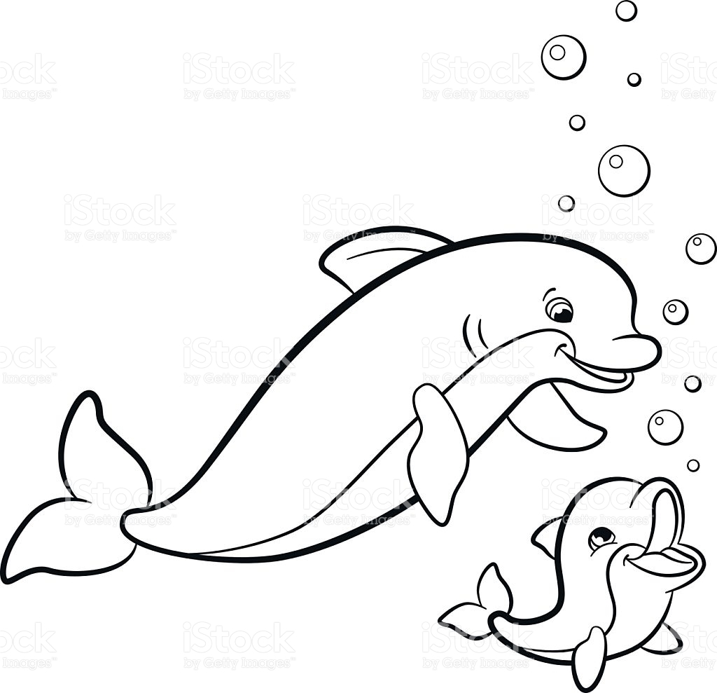 dolphin picture for colouring dolphin picture for colouring
