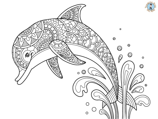Dolphin Detailed Coloring Page Treasure Hunt 4 Kids