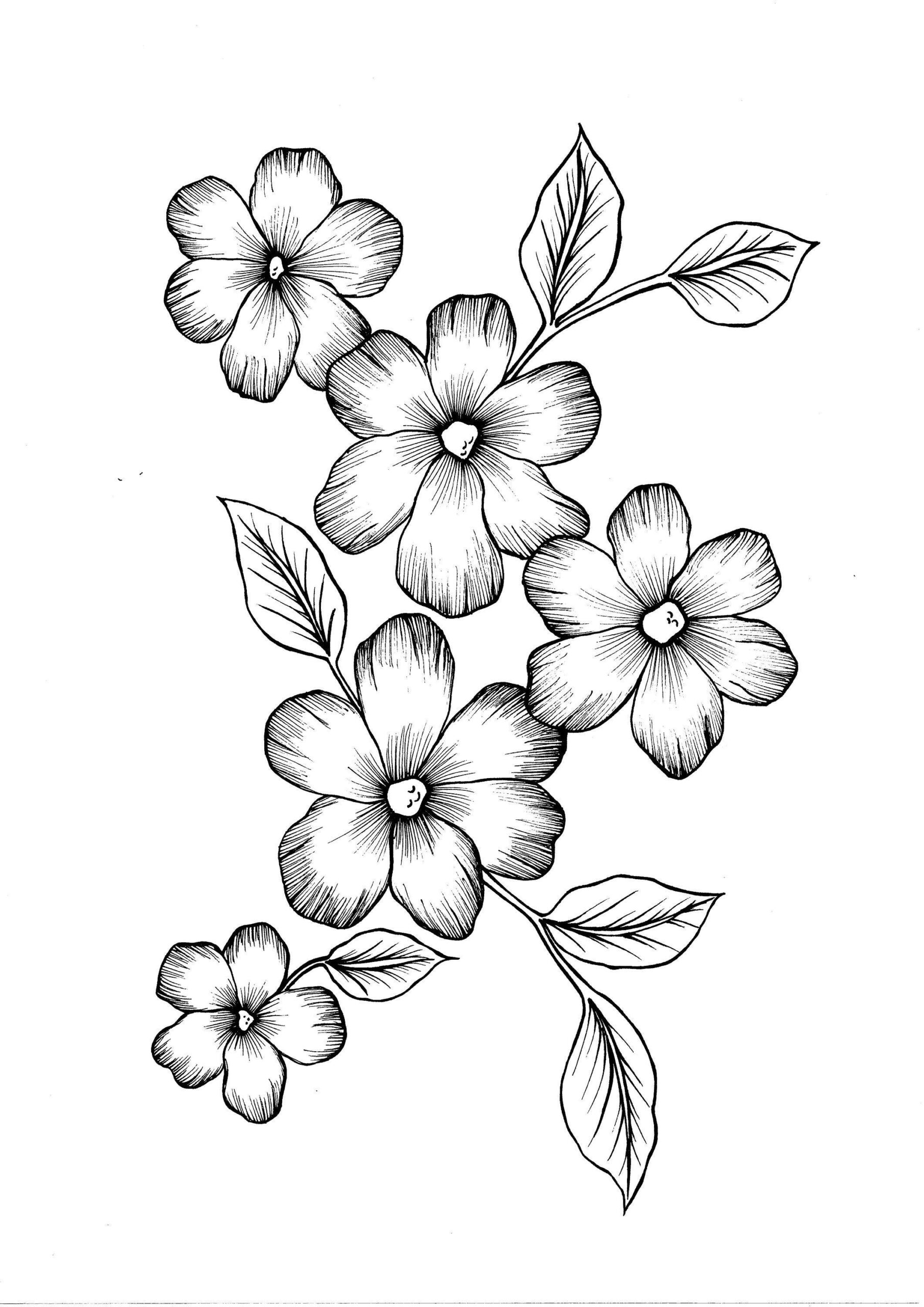 Doodle Drawings Of Flowers FLOWERSXC