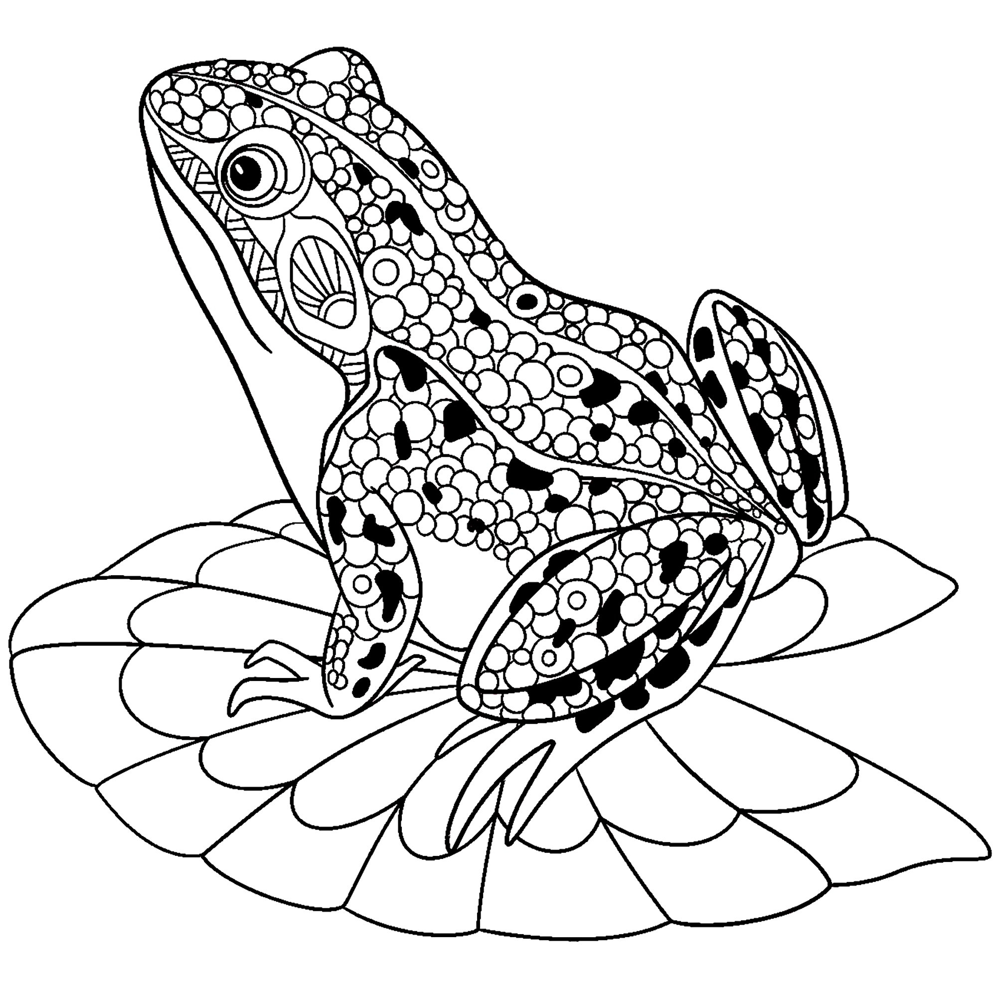 Doodle Frog Colouring Page Frog Coloring Pages Frog Coloring Frog Doodle Frog Colouring Page Frog Coloring Pages Frog Coloring Frog