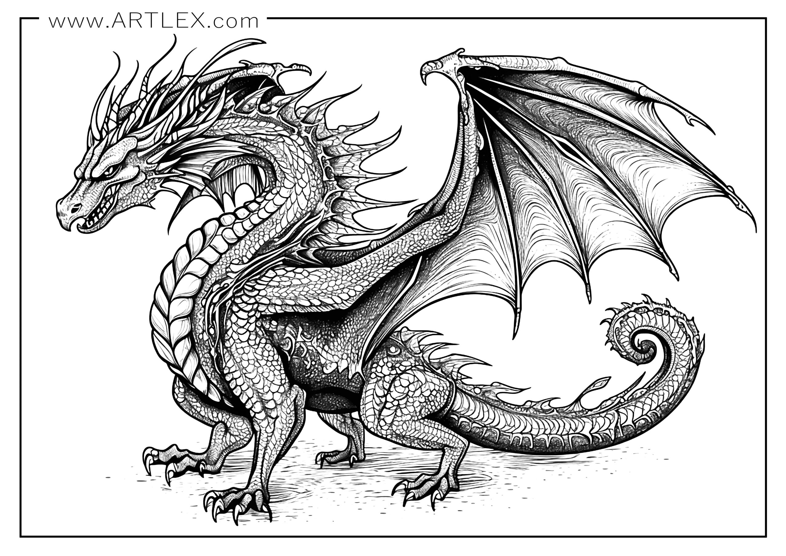 free printable dragon coloring sheet