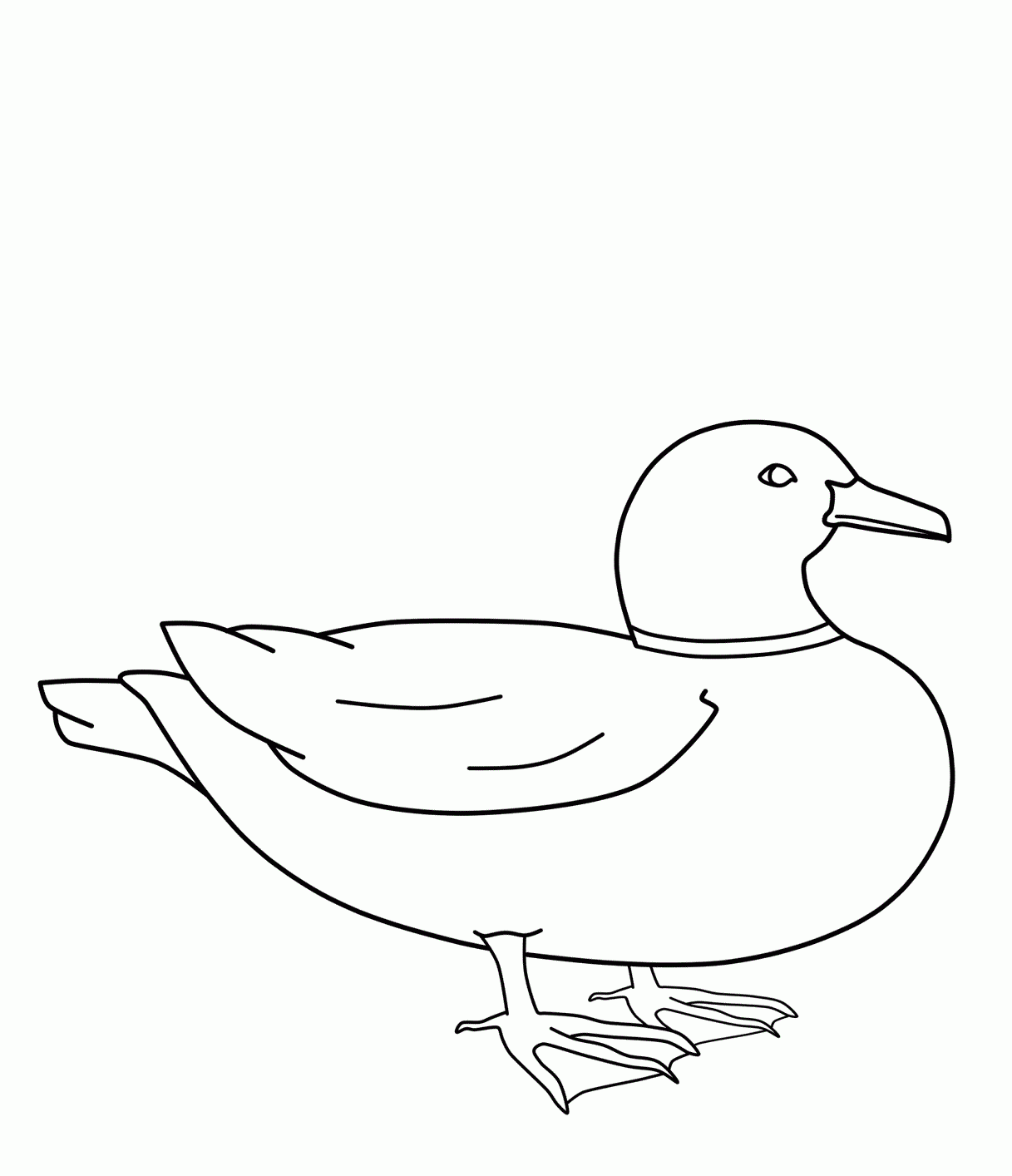 Duck Coloring Pages Duck Coloring Pages