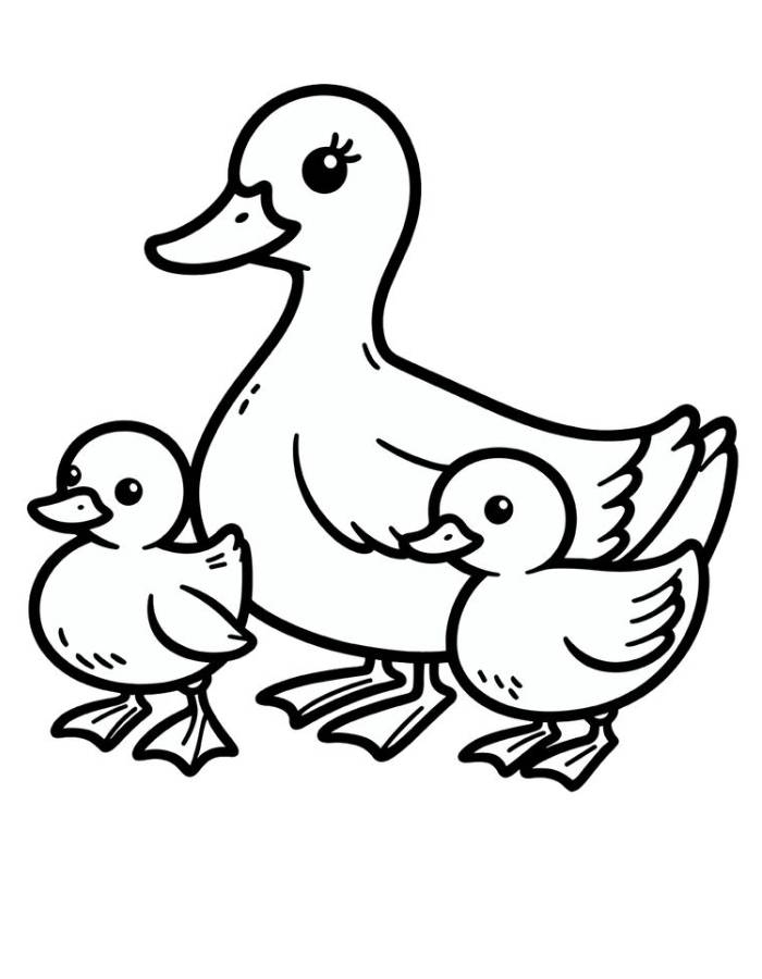 Duck Coloring Pages Free Printable PDF Duck Coloring Pages Free Printable PDF