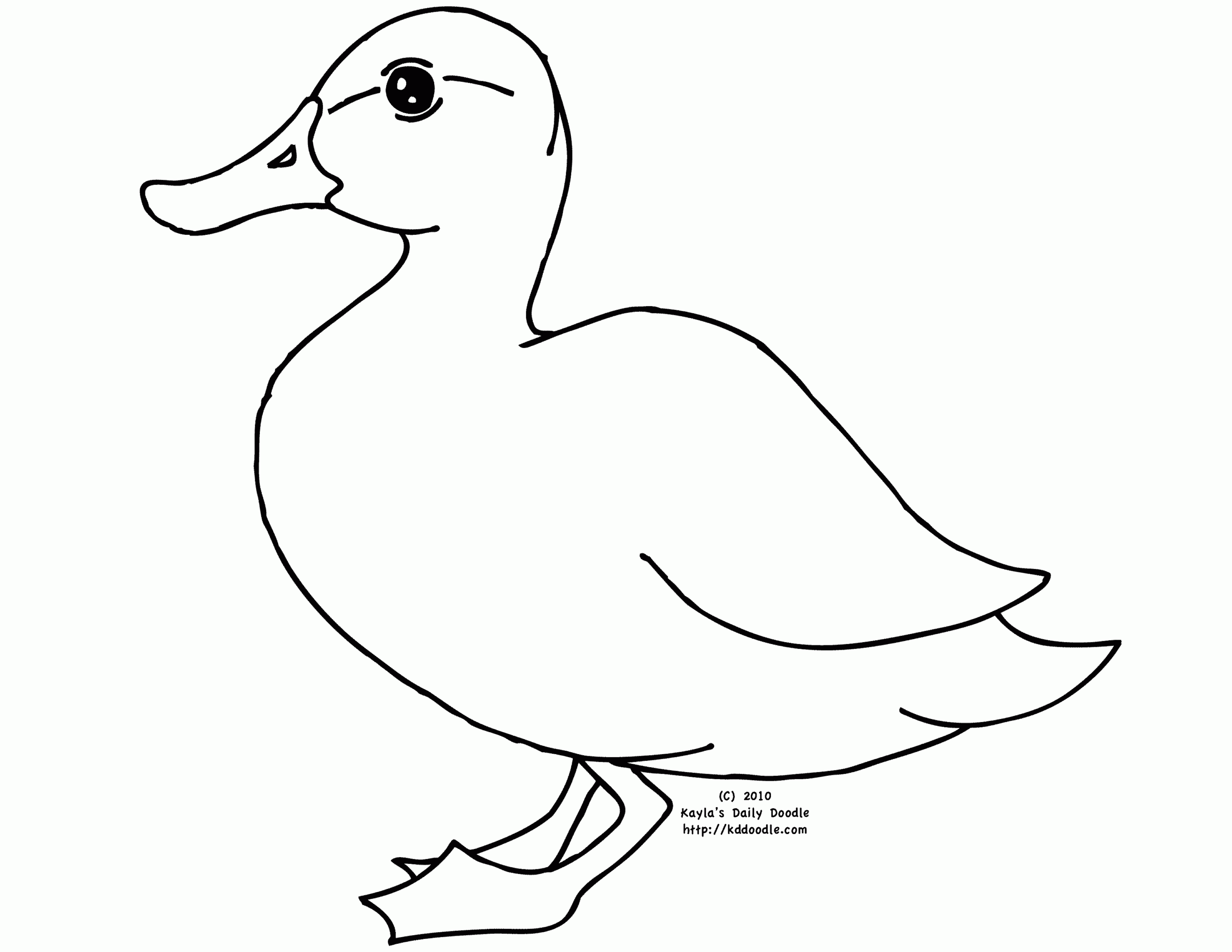 Duck Colouring Sheets Duck Colouring Sheets