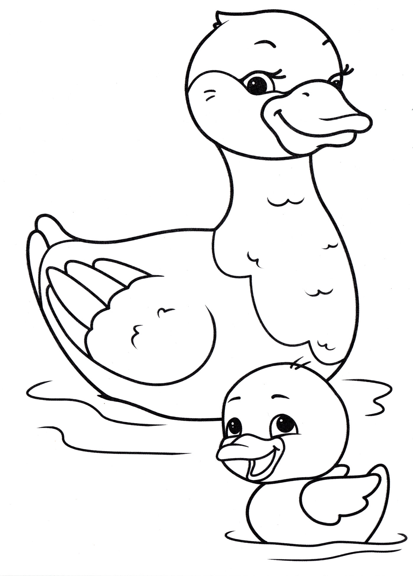 Duck Colouring Sheets Duck Colouring Sheets
