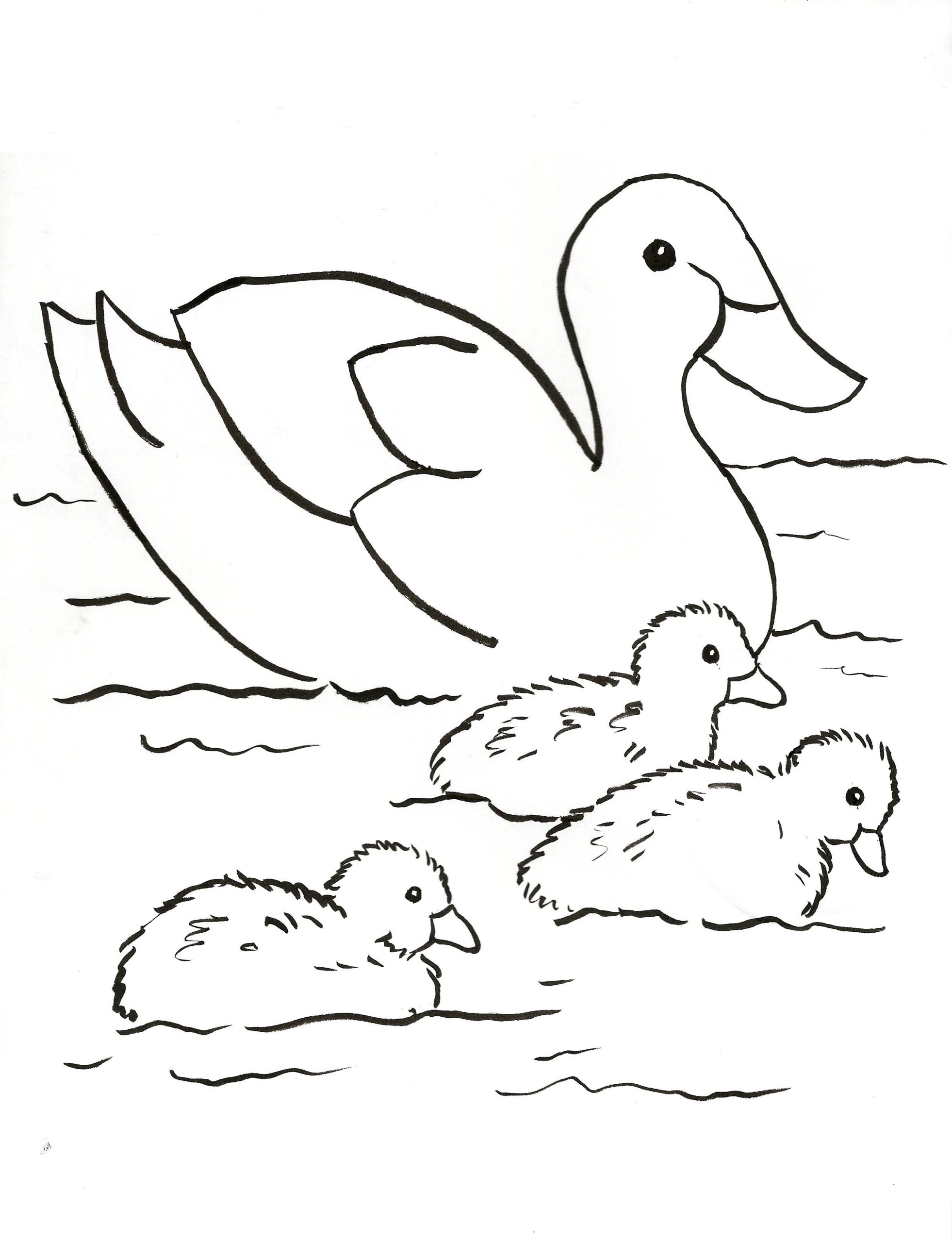 Duck Family Coloring Page Art Starts