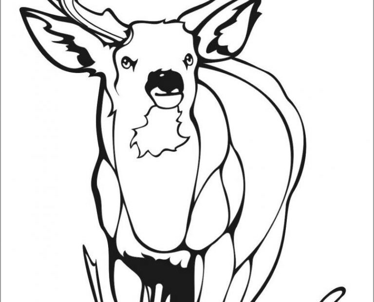 Easy Deer Coloring Page ColoringBay