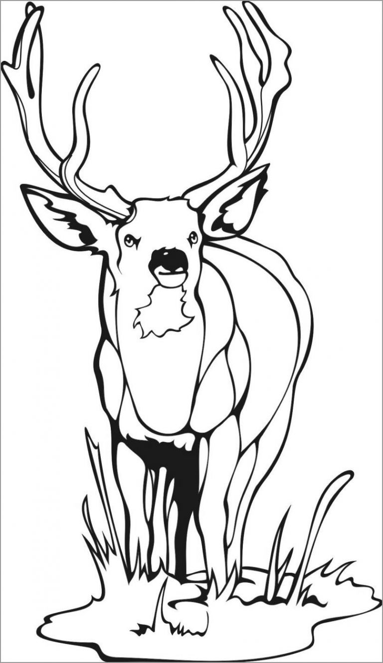 Easy Deer Coloring Page ColoringBay Easy Deer Coloring Page ColoringBay