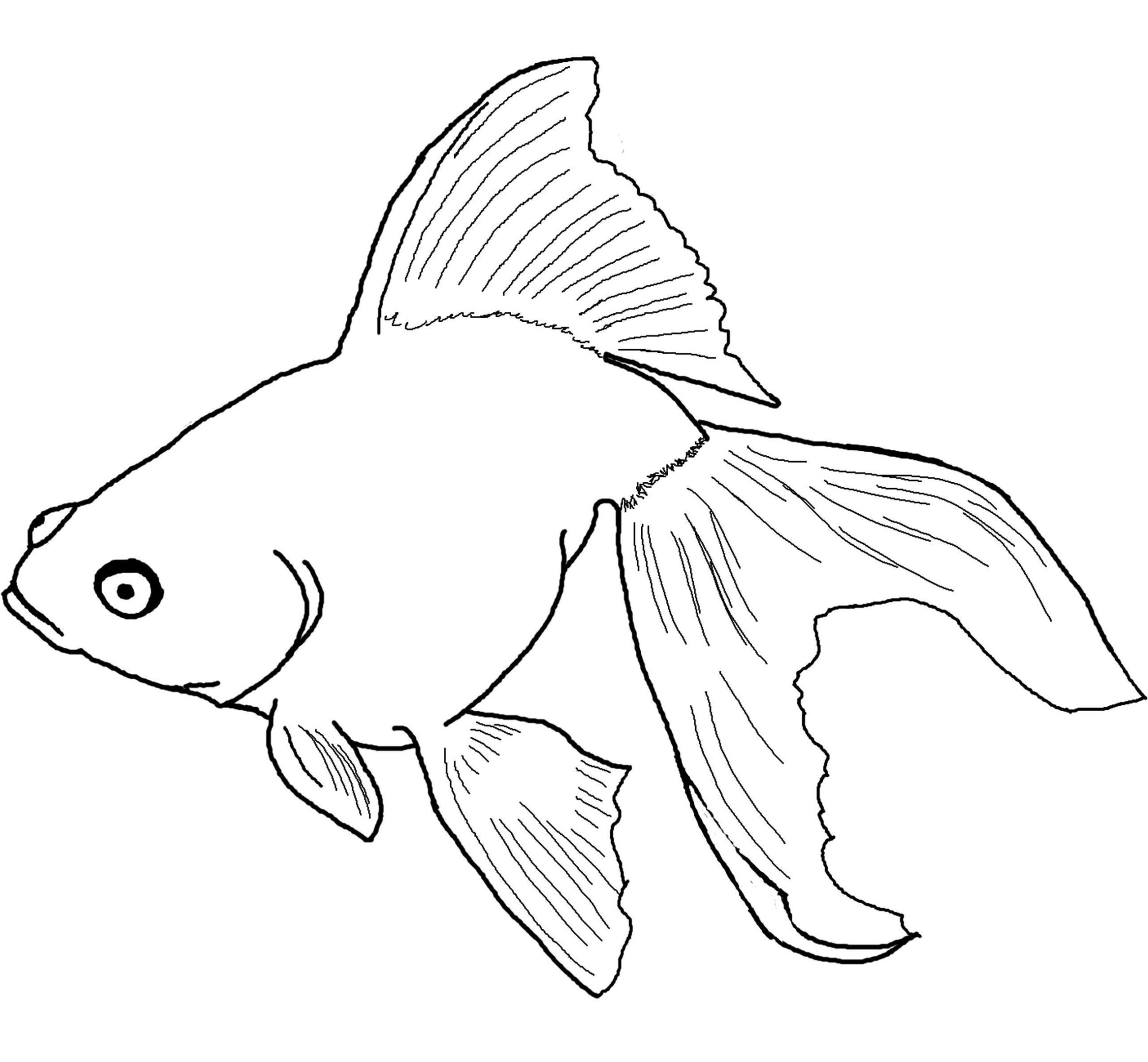 Easy Fish Coloring Pages At GetDrawings Free Download Easy Fish Coloring Pages At GetDrawings Free Download