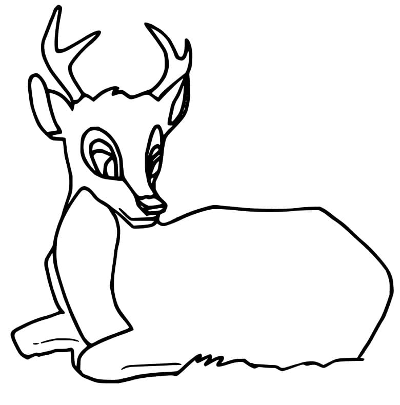 deer coloring pages easy deer coloring pages easy
