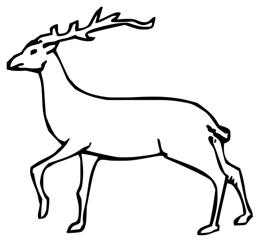 Easy Red Deer Coloring Page Free Printable Coloring Pages For Kids Easy Red Deer Coloring Page Free Printable Coloring Pages For Kids