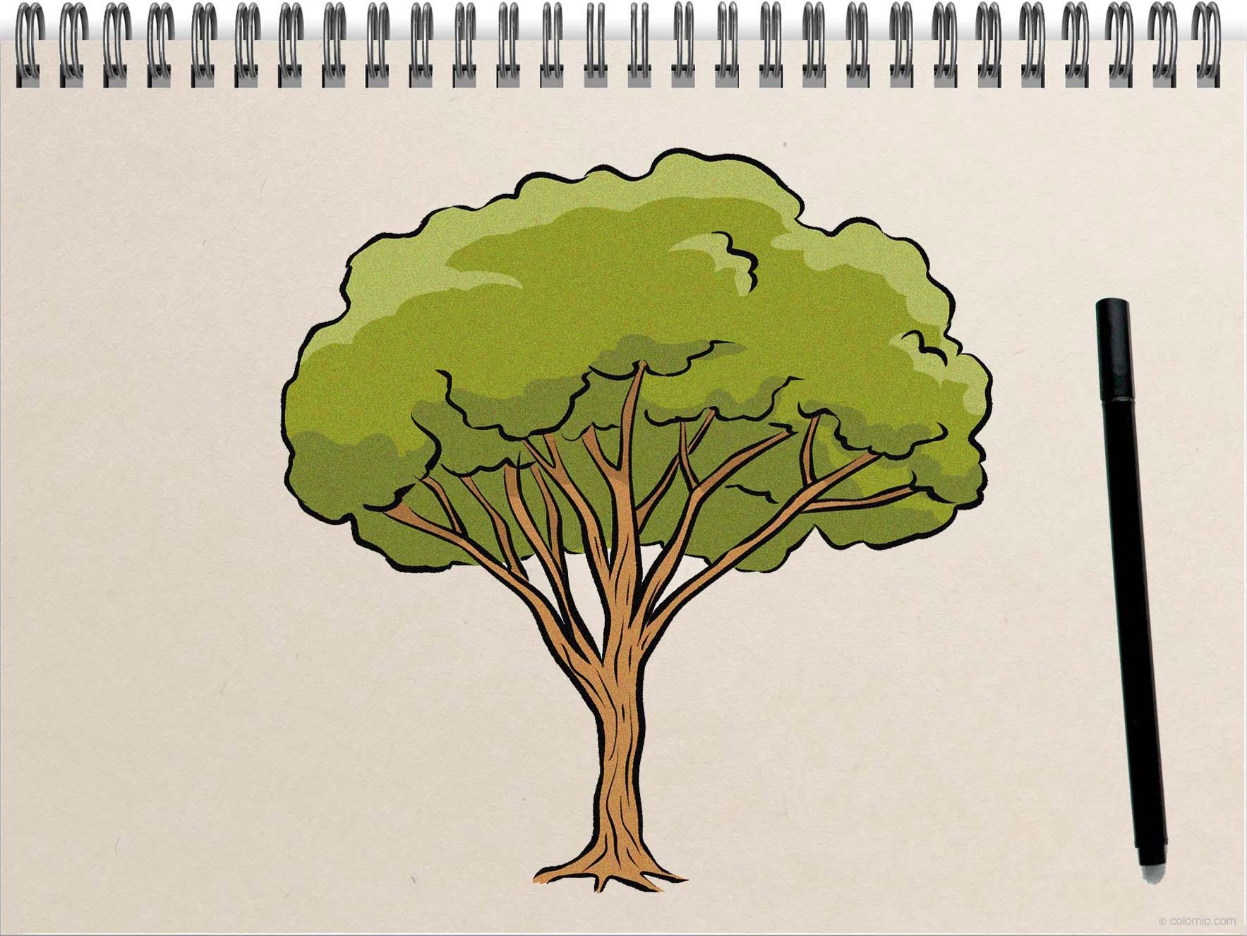 Easy Tree Drawing How To Draw A Tree