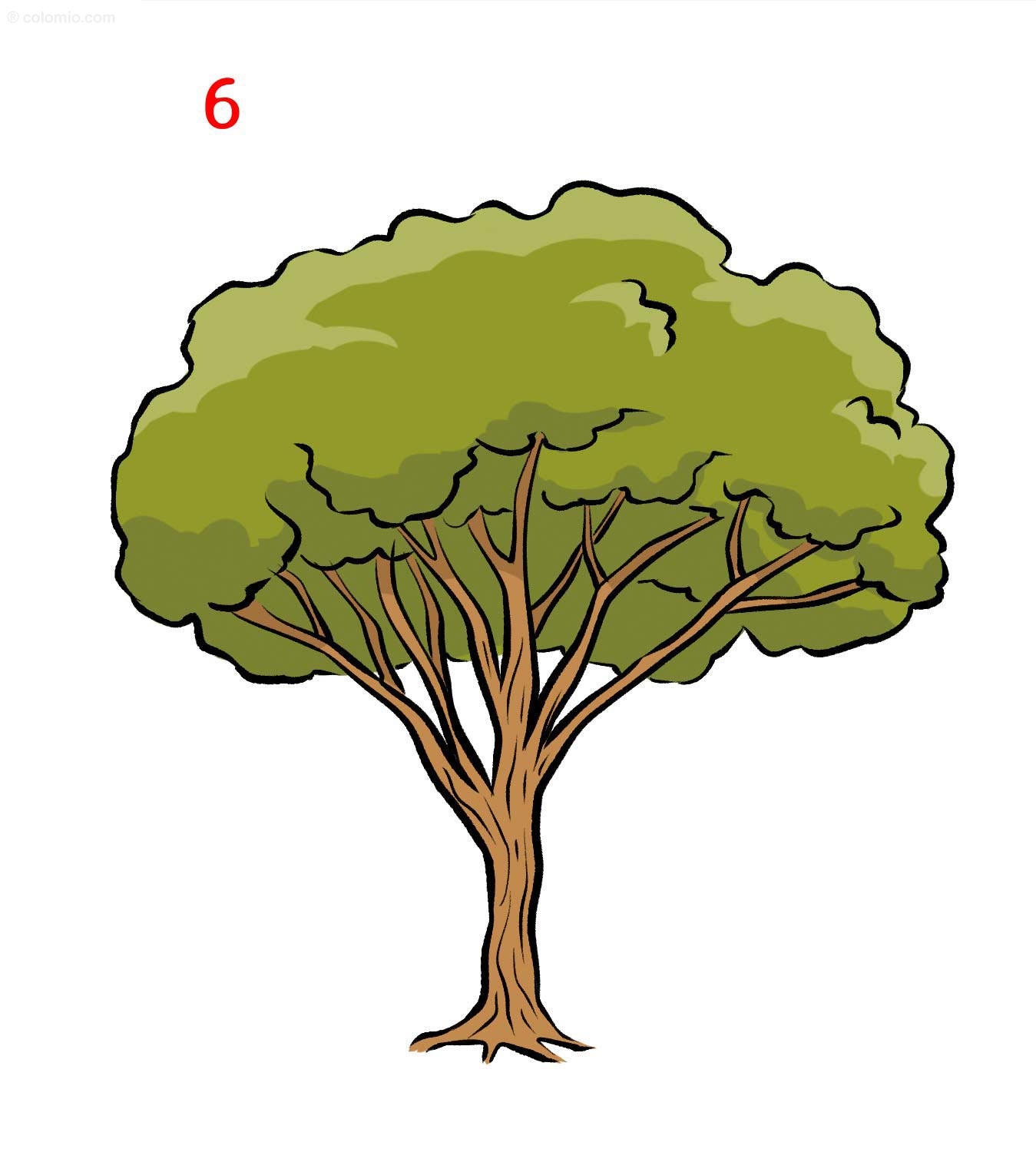 tree drawing for colouring