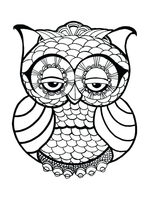 Easy Zentangle Adult Animals Birds Owl Coloring Pages Print Color Craft Easy Zentangle Adult Animals Birds Owl Coloring Pages Print Color Craft