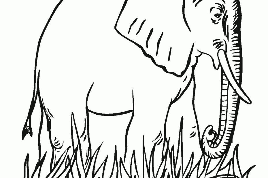 Effortfulg Elephant Coloring Pages Printable