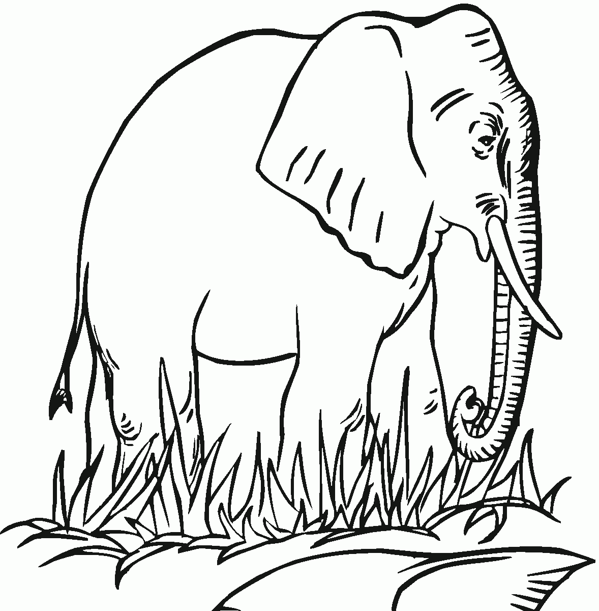 Effortfulg Elephant Coloring Pages Printable Effortfulg Elephant Coloring Pages Printable