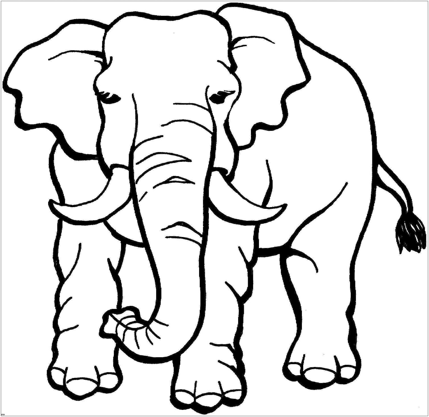 Elephant Coloring Pages Printable Printable edu pe Elephant Coloring Pages Printable Printable edu pe