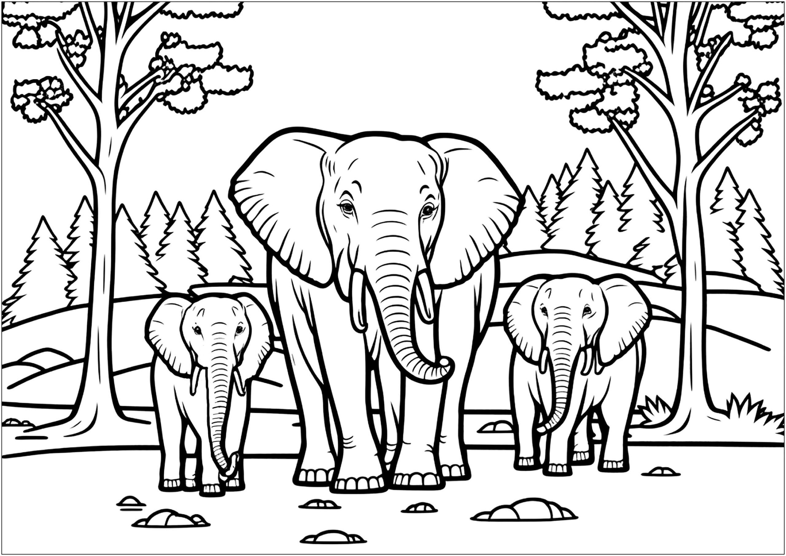 Elephant Family Elephant Coloring Pages Elephant Family Elephant Coloring Pages
