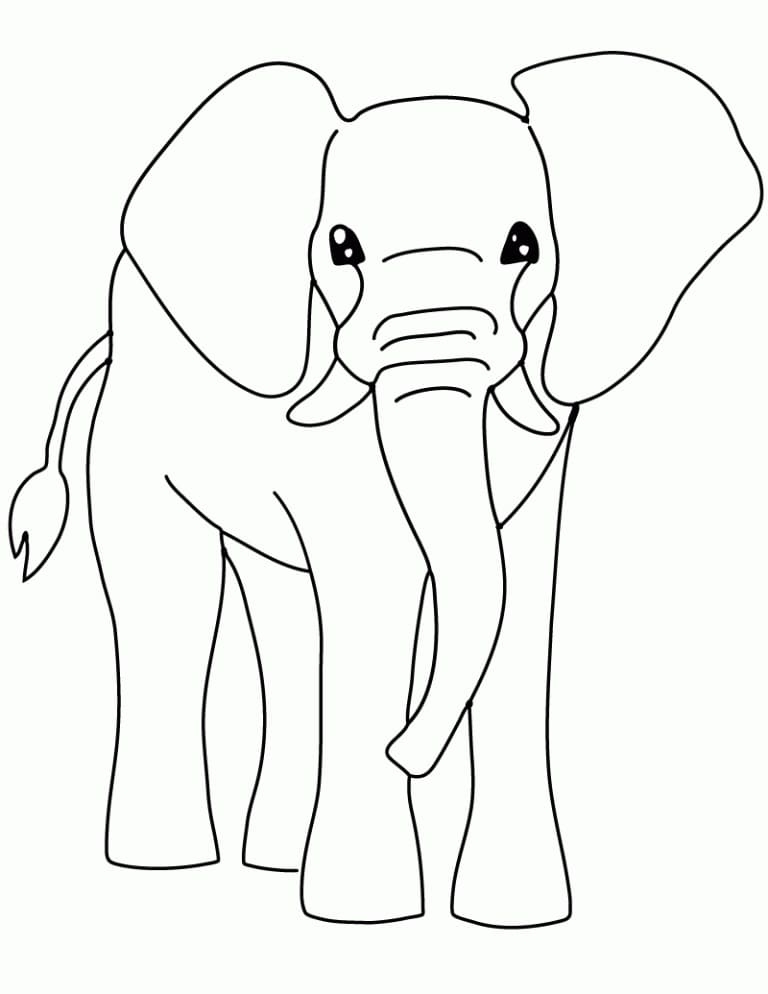 Elephant To Color Coloring Page Free Printable Coloring Pages For Kids Elephant To Color Coloring Page Free Printable Coloring Pages For Kids