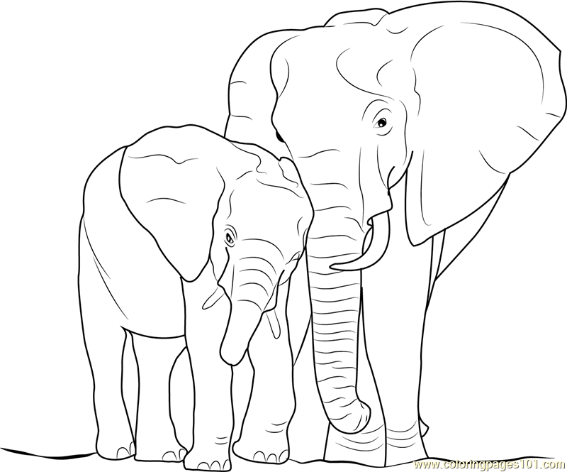 free elephant coloring sheets free elephant coloring sheets
