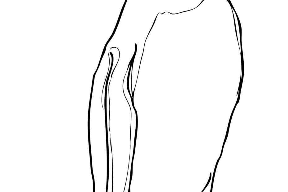 Emperor Penguin Coloring Pages Coloring Home