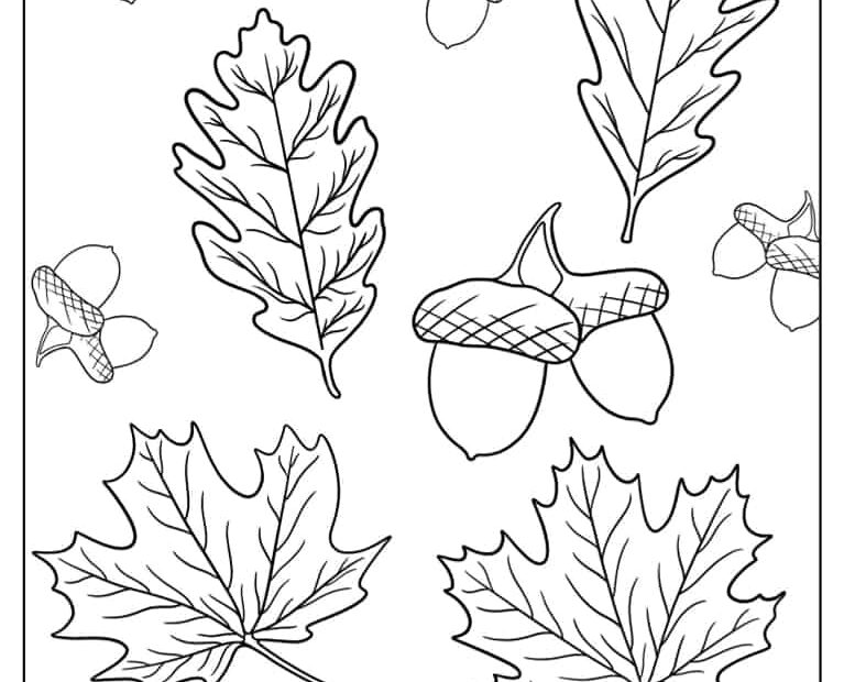 Fall Leaves Coloring Pages For Kindergarten Infoupdate