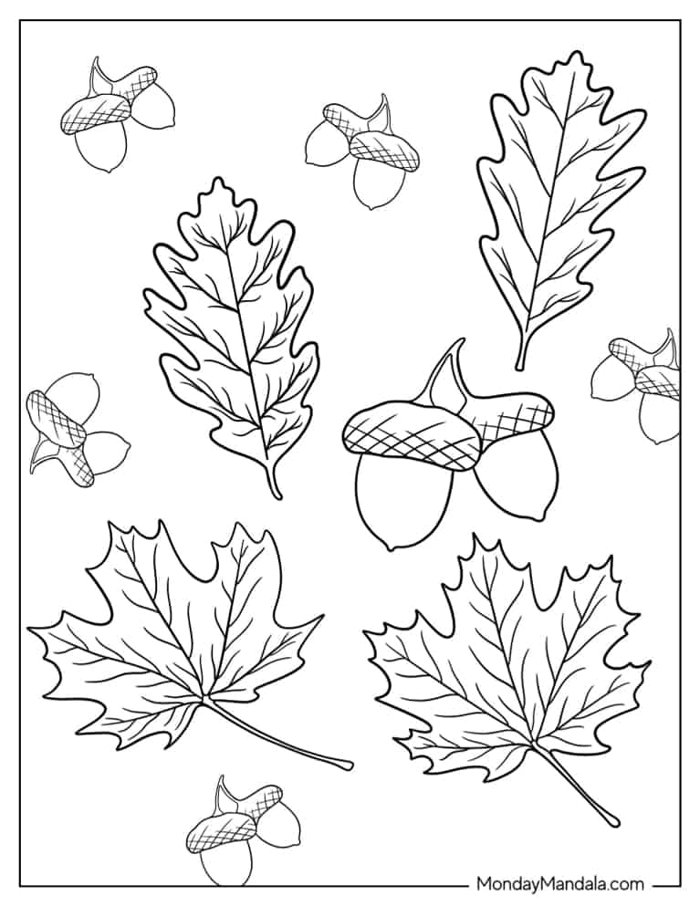 Fall Leaves Coloring Pages For Kindergarten Infoupdate Fall Leaves Coloring Pages For Kindergarten Infoupdate
