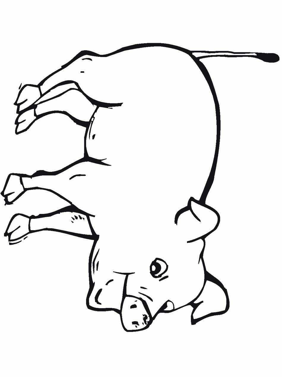 animal coloring pages for free