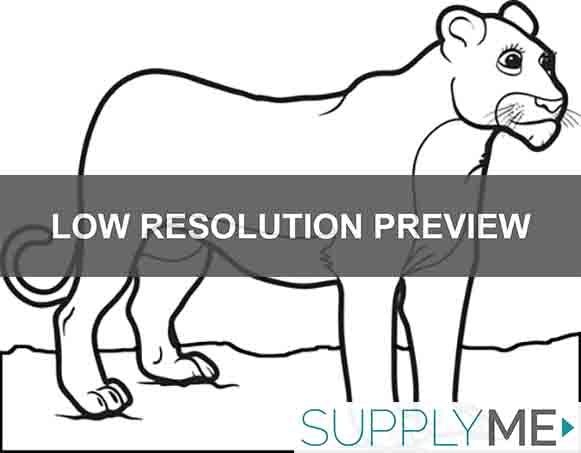 Female Lion Coloring Page Lion Coloring Pages Female Lion Coloring Female Lion Coloring Page Lion Coloring Pages Female Lion Coloring