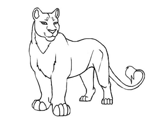 Female Lion Coloring Pages Coloring Pages