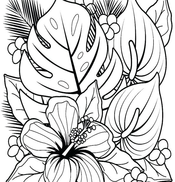 Finished Adult Coloring Flowers Coloring Pages