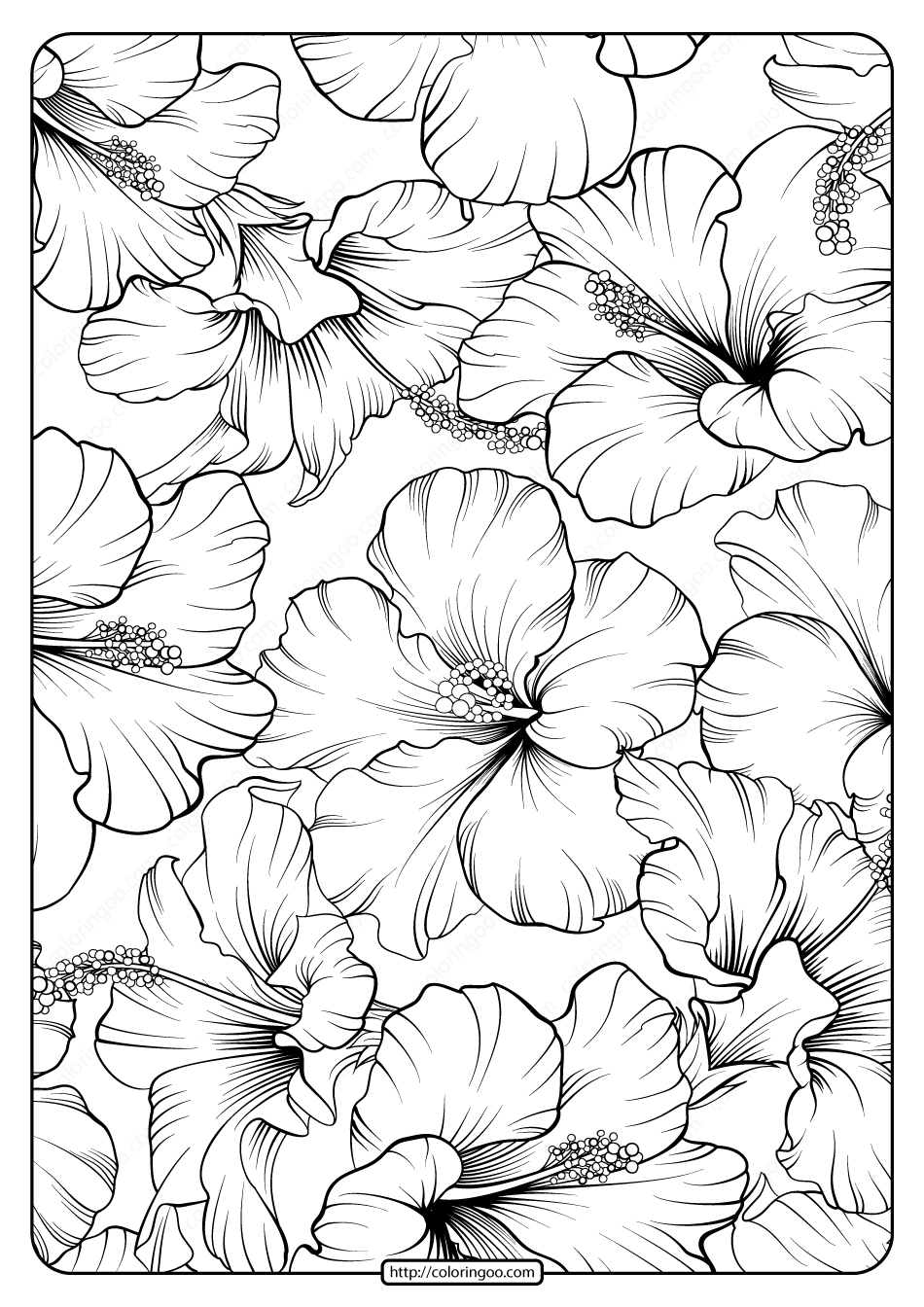 floral coloring pages free printable