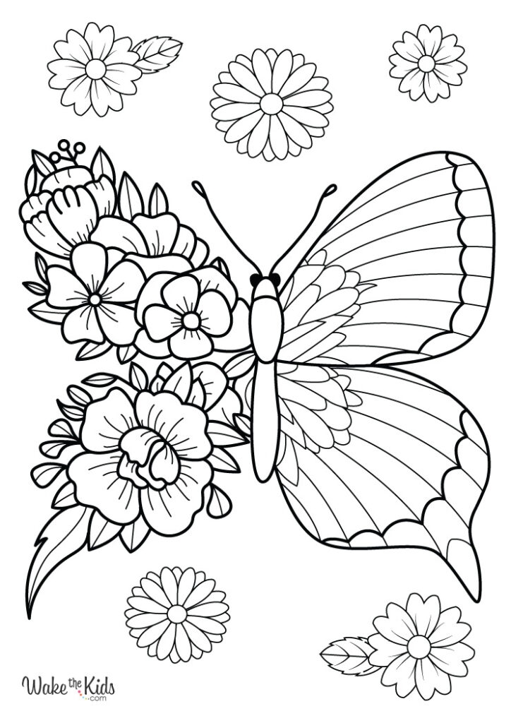 Flower And Butterfly Coloring Pages Free Printable PDFs WakeTheKids