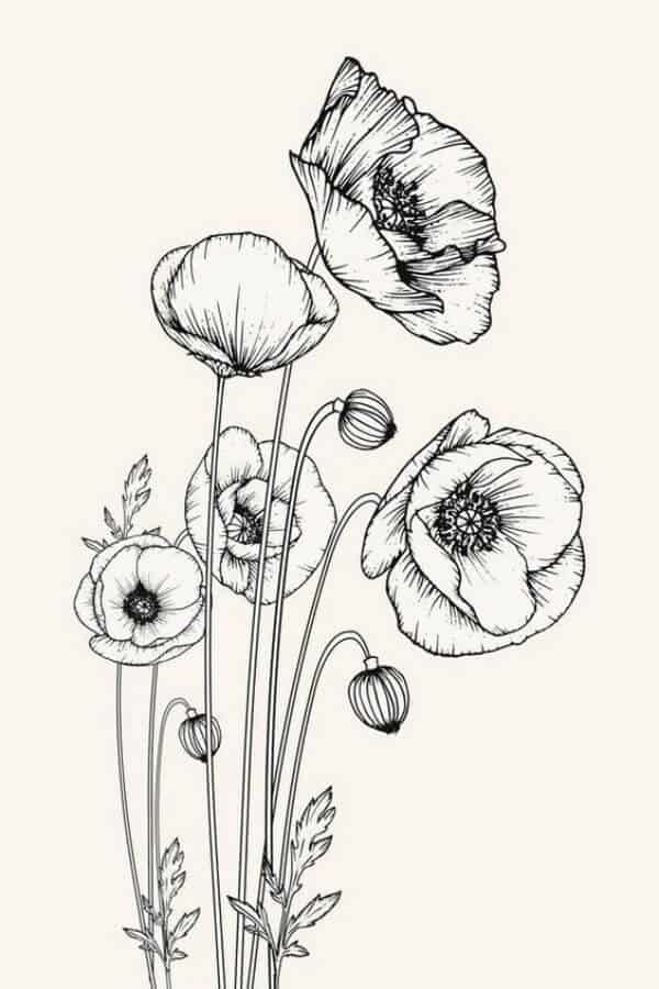 free printable drawings of flowers