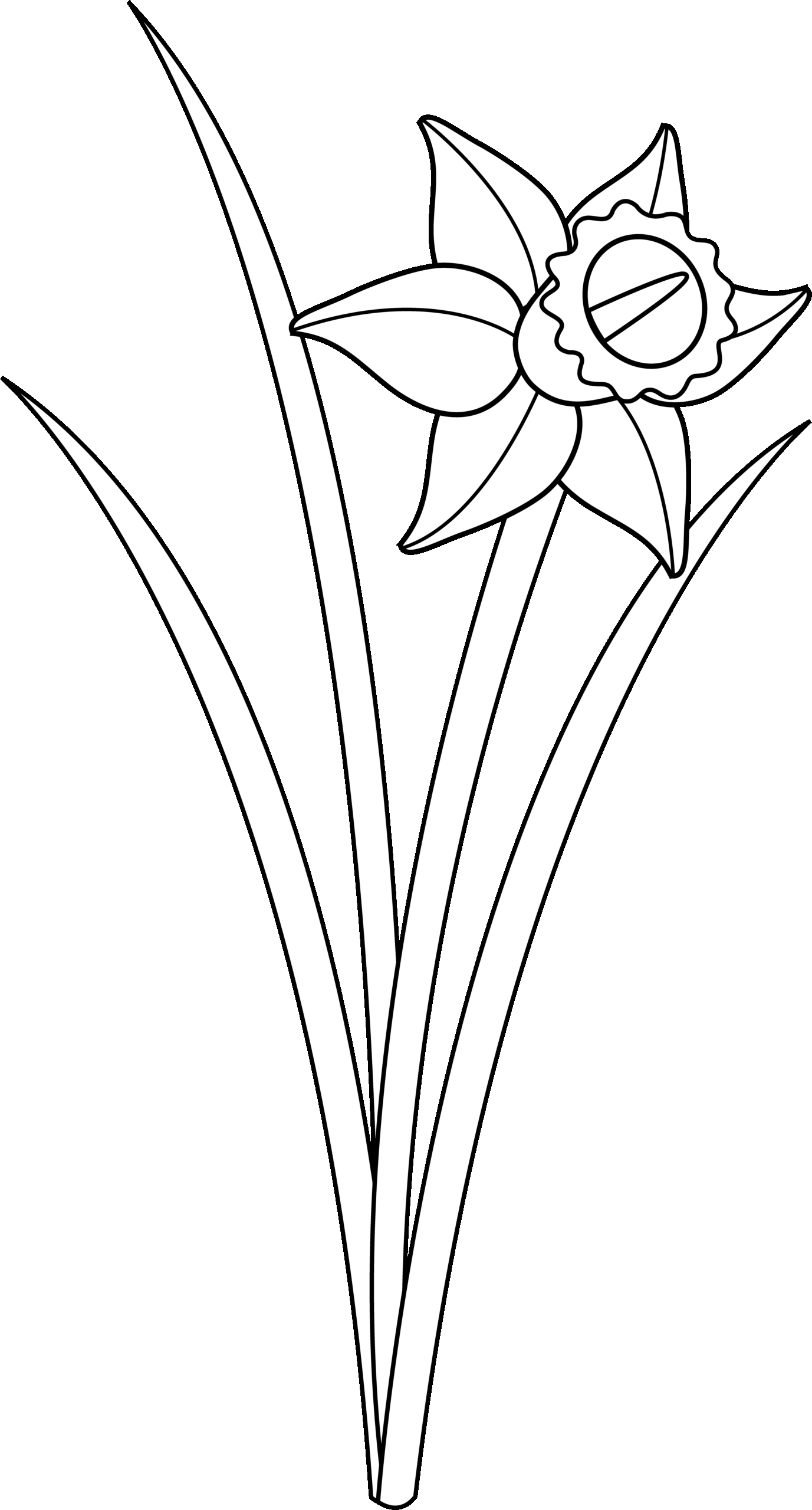 Flower Line Drawing Clip Art Free At GetDrawings Free Download