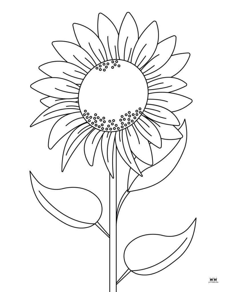 Flower Printable For Coloring Flowers Coloring Pages