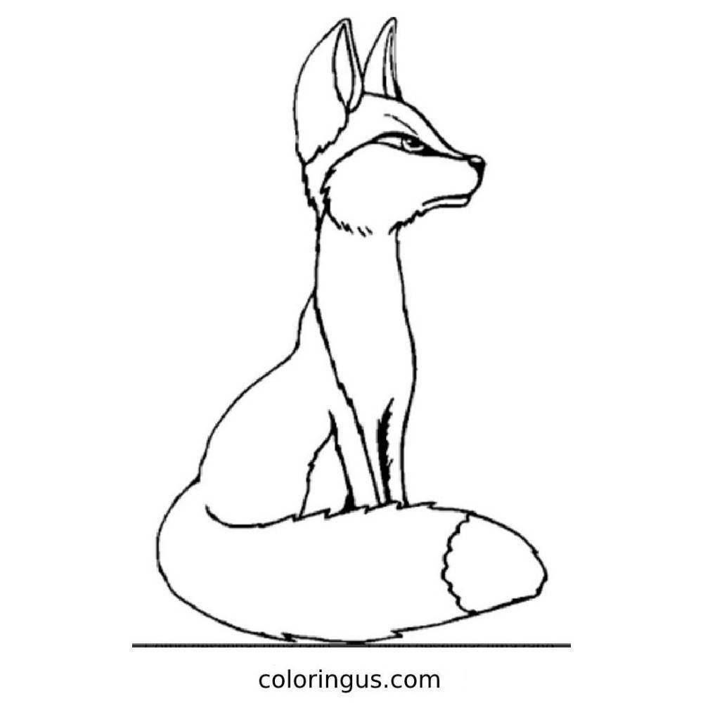 Fox Coloring Pages Free Printable PDF Fox Coloring Pages Free Printable PDF
