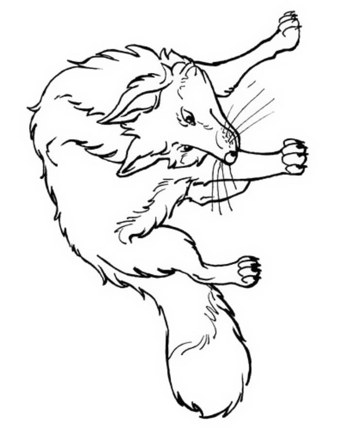 Fox Coloring Pages Free Printable PDF Fox Coloring Pages Free Printable PDF