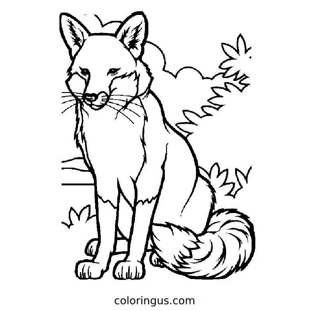 Fox Coloring Pages Free Printable PDF Fox Coloring Pages Free Printable PDF