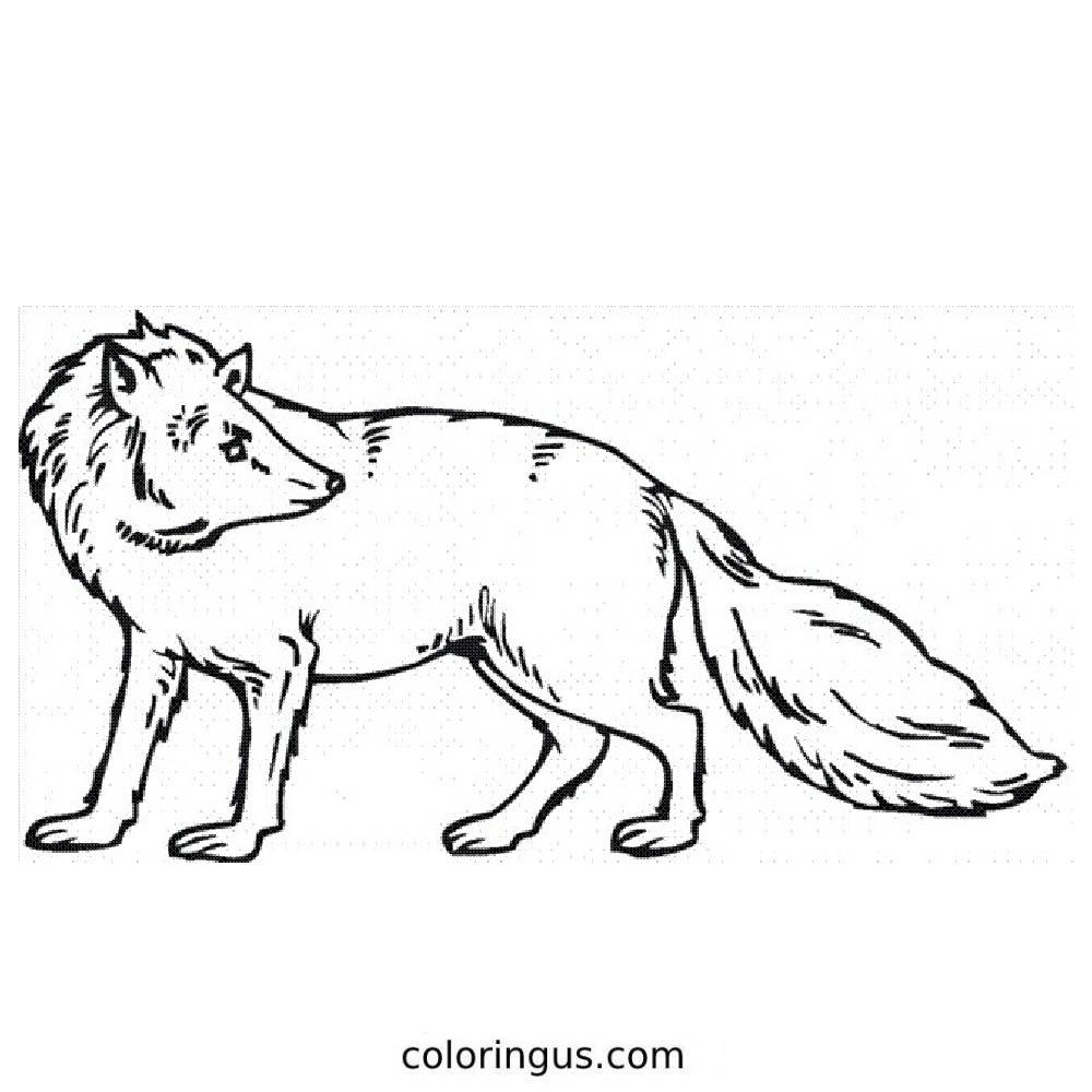 detailed fox coloring page detailed fox coloring page