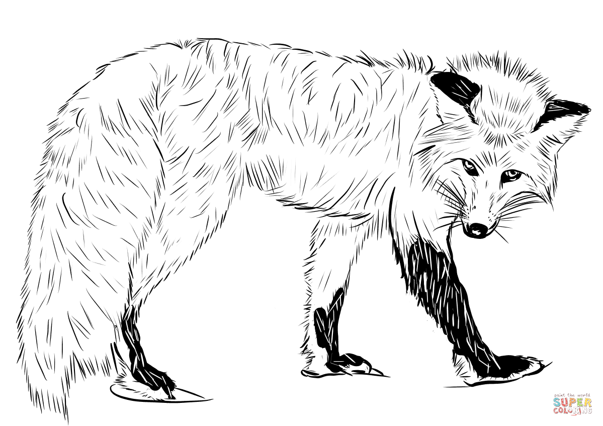 fox printable coloring pages