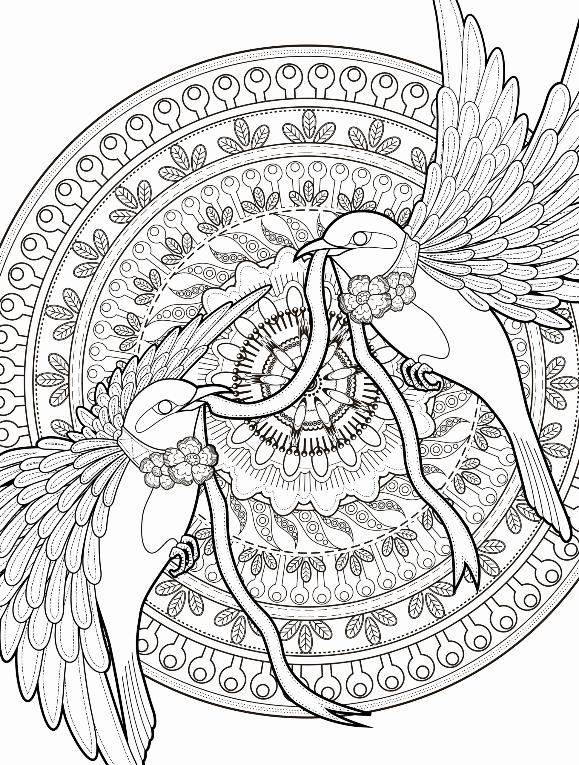 free coloring page adult pdfs free coloring page adult pdfs